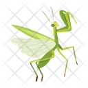 پیش‌نمایش فایل stick-bug-12077088 از پک آخوندک