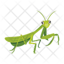 پیش‌نمایش فایل stick-bug-12077089 از پک آخوندک