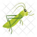 پیش‌نمایش فایل stick-bug-12077093 از پک آخوندک
