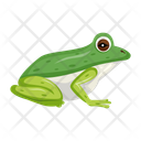 پیش‌نمایش فایل cute-amphibian-12076961 از پک قورباغه مسطح (سبک Flat)