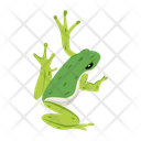 پیش‌نمایش فایل cute-amphibian-12076978 از پک قورباغه مسطح (سبک Flat)