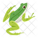 پیش‌نمایش فایل cute-amphibian-12076982 از پک قورباغه مسطح (سبک Flat)