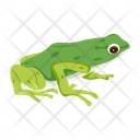 پیش‌نمایش فایل frog-12076979 از پک قورباغه مسطح (سبک Flat)