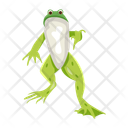 پیش‌نمایش فایل frog-12076998 از پک قورباغه مسطح (سبک Flat)