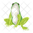 پیش‌نمایش فایل frog-cartoon-12076992 از پک قورباغه مسطح (سبک Flat)