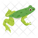 پیش‌نمایش فایل frog-cartoon-12076996 از پک قورباغه مسطح (سبک Flat)