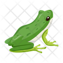 پیش‌نمایش فایل garden-frog-12076962 از پک قورباغه مسطح (سبک Flat)