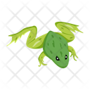 پیش‌نمایش فایل garden-frog-12076985 از پک قورباغه مسطح (سبک Flat)