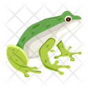 پیش‌نمایش فایل garden-frog-12076986 از پک قورباغه مسطح (سبک Flat)