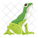 پیش‌نمایش فایل garden-frog-12076989 از پک قورباغه مسطح (سبک Flat)