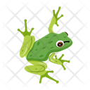 پیش‌نمایش فایل grass-frog-12076969 از پک قورباغه مسطح (سبک Flat)