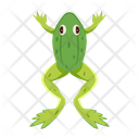 پیش‌نمایش فایل grass-frog-12076973 از پک قورباغه مسطح (سبک Flat)