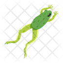 پیش‌نمایش فایل grass-frog-12076991 از پک قورباغه مسطح (سبک Flat)