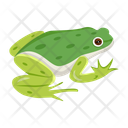 پیش‌نمایش فایل grass-frog-12077002 از پک قورباغه مسطح (سبک Flat)