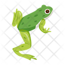 پیش‌نمایش فایل grass-frog-12077006 از پک قورباغه مسطح (سبک Flat)