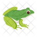 پیش‌نمایش فایل pond-frog-12076970 از پک قورباغه مسطح (سبک Flat)