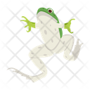 پیش‌نمایش فایل pond-frog-12076971 از پک قورباغه مسطح (سبک Flat)