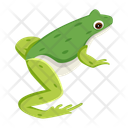 پیش‌نمایش فایل pond-frog-12076974 از پک قورباغه مسطح (سبک Flat)
