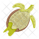 پیش‌نمایش فایل chelonian-12065905 از پک لاک‌پشت مسطح (سبک Flat)