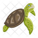 پیش‌نمایش فایل chelonian-12065923 از پک لاک‌پشت مسطح (سبک Flat)