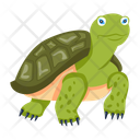 پیش‌نمایش فایل chelonian-12065941 از پک لاک‌پشت مسطح (سبک Flat)