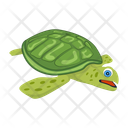 پیش‌نمایش فایل pond-turtle-12065903 از پک لاک‌پشت مسطح (سبک Flat)