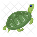 پیش‌نمایش فایل pond-turtle-12065906 از پک لاک‌پشت مسطح (سبک Flat)