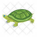 پیش‌نمایش فایل pond-turtle-12065927 از پک لاک‌پشت مسطح (سبک Flat)