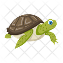 پیش‌نمایش فایل pond-turtle-12065938 از پک لاک‌پشت مسطح (سبک Flat)