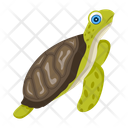 پیش‌نمایش فایل pond-turtle-12065942 از پک لاک‌پشت مسطح (سبک Flat)