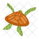 پیش‌نمایش فایل pond-turtle-12065953 از پک لاک‌پشت مسطح (سبک Flat)