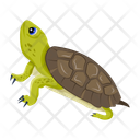 پیش‌نمایش فایل tortoise-12065911 از پک لاک‌پشت مسطح (سبک Flat)