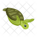 پیش‌نمایش فایل tortoise-12065915 از پک لاک‌پشت مسطح (سبک Flat)