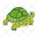 پیش‌نمایش فایل tortoise-12065947 از پک لاک‌پشت مسطح (سبک Flat)
