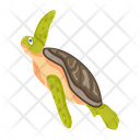 پیش‌نمایش فایل tortoise-12065951 از پک لاک‌پشت مسطح (سبک Flat)