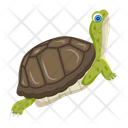 پیش‌نمایش فایل turtle-12065898 از پک لاک‌پشت مسطح (سبک Flat)