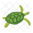 پیش‌نمایش فایل turtle-12065902 از پک لاک‌پشت مسطح (سبک Flat)