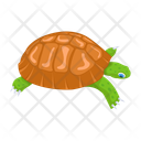 پیش‌نمایش فایل turtle-12065910 از پک لاک‌پشت مسطح (سبک Flat)