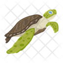 پیش‌نمایش فایل turtle-12065914 از پک لاک‌پشت مسطح (سبک Flat)