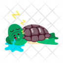 پیش‌نمایش فایل turtle-sleep-12414162 از پک لاک‌پشت