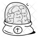 پیش‌نمایش فایل preserved-brain-12794706 از پک گوتیک