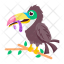 آیکن