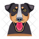 پیش‌نمایش فایل dog-12507259 از پک سگ