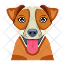 پیش‌نمایش فایل dog-12507267 از پک سگ