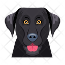 پیش‌نمایش فایل dog-12507270 از پک سگ