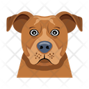 پیش‌نمایش فایل dog-12507273 از پک سگ
