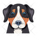 پیش‌نمایش فایل dog-12507274 از پک سگ