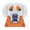 پیش‌نمایش فایل dog-12507276 از پک سگ