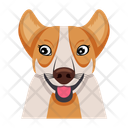 پیش‌نمایش فایل dog-12507279 از پک سگ