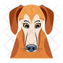 پیش‌نمایش فایل dog-12507280 از پک سگ
